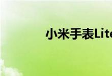小米手表Lite刚刚被FCC叫停