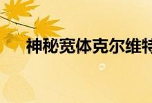 神秘宽体克尔维特在加州进行巅峰测试