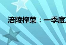 涪陵榨菜：一季度净利润同比增长5.39%