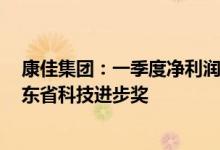 康佳集团：一季度净利润同比增长42.68%，核心技术获广东省科技进步奖