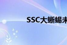 SSC大蜥蜴未能复制最高速度
