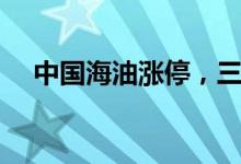 中国海油涨停，三机构合计买入超3亿元