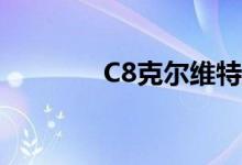 C8克尔维特地板垫选项概述