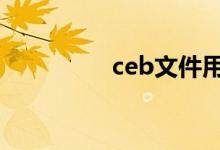 ceb文件用什么软件打开