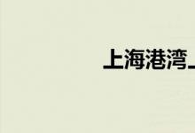 上海港湾上演“地天板”