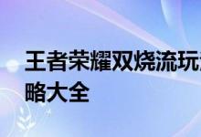 王者荣耀双烧流玩法英雄推荐 双烧流玩法攻略大全