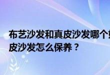 布艺沙发和真皮沙发哪个好？想买CBD品牌的沙发？新买的皮沙发怎么保养？