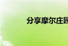 分享摩尔庄园手游的升级攻略