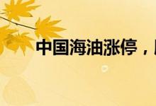 中国海油涨停，股价创上市以来新高