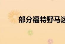 部分福特野马运动车型将面临延期