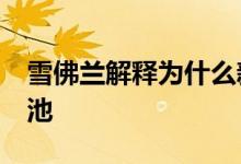 雪佛兰解释为什么新Bolt不能得到Ultium电池