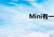 Mini有一些热门的东西