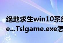 绝地求生win10系统更新后提示Fail to create...Tslgame.exe怎么办