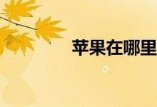 苹果在哪里完全卸载软件？