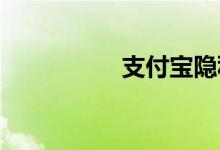 支付宝隐私开关在哪里