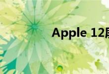 Apple 12屏幕设置在哪里