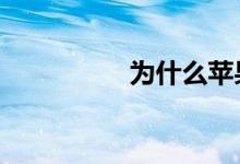 为什么苹果8p没有浮球