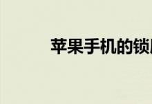 苹果手机的锁屏密码设置在哪里