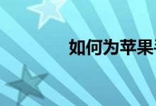 如何为苹果手机建立文件夹