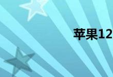 苹果12支持指纹吗