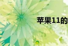 苹果11的保修期有多长