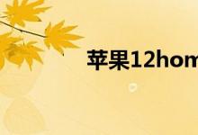 苹果12home键在哪里打开