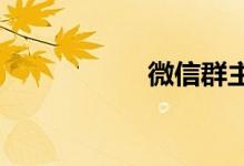 微信群主怎么看是谁