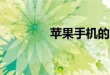 苹果手机的usb设置在哪里
