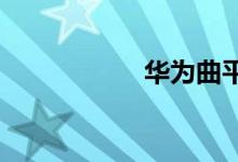 华为曲平手机有哪些