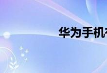 华为手机有OTG设置吗