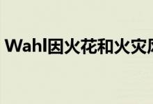 Wahl因火花和火灾风险召回了一堆热按摩器