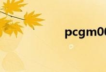 pcgm00是什么手机