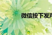 微信按下发声时震动在哪里？