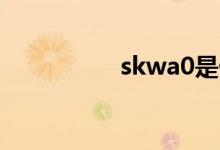 skwa0是什么手机型号