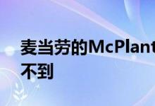 麦当劳的McPlant汉堡到货了但你可能还买不到