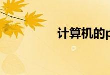 计算机的pln是什么意思