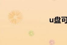 u盘可以加密吗