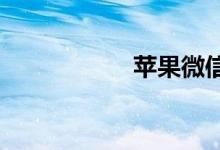 苹果微信闪回怎么了