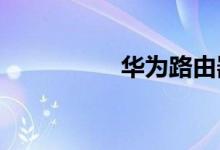 华为路由器间歇性断线