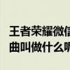 王者荣耀微信5月19日 周瑜小乔520皮肤故事曲叫做什么呢