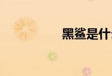 黑鲨是什么品牌的手机