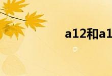 a12和a13有什么区别