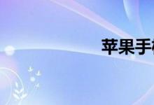 苹果手机音量太大