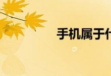 手机属于什么垃圾分类？