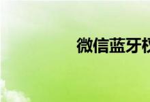 微信蓝牙权限在哪开的？