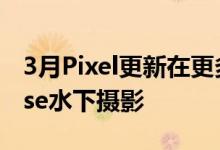 3月Pixel更新在更多地方提供SmartCompose水下摄影