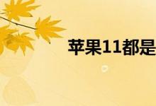 苹果11都是双卡双待手机吗