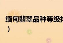 缅甸翡翠品种等级排名（缅甸翡翠分几个等级）