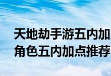 天地劫手游五内加点大全 天地劫幽城再临全角色五内加点推荐