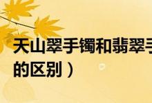 天山翠手镯和翡翠手镯哪个好（天山翠和翡翠的区别）